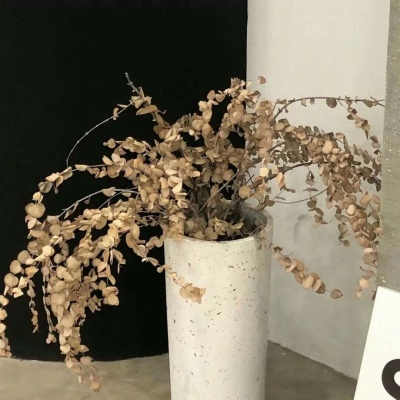 兽设四季场景绘制兽圈社群